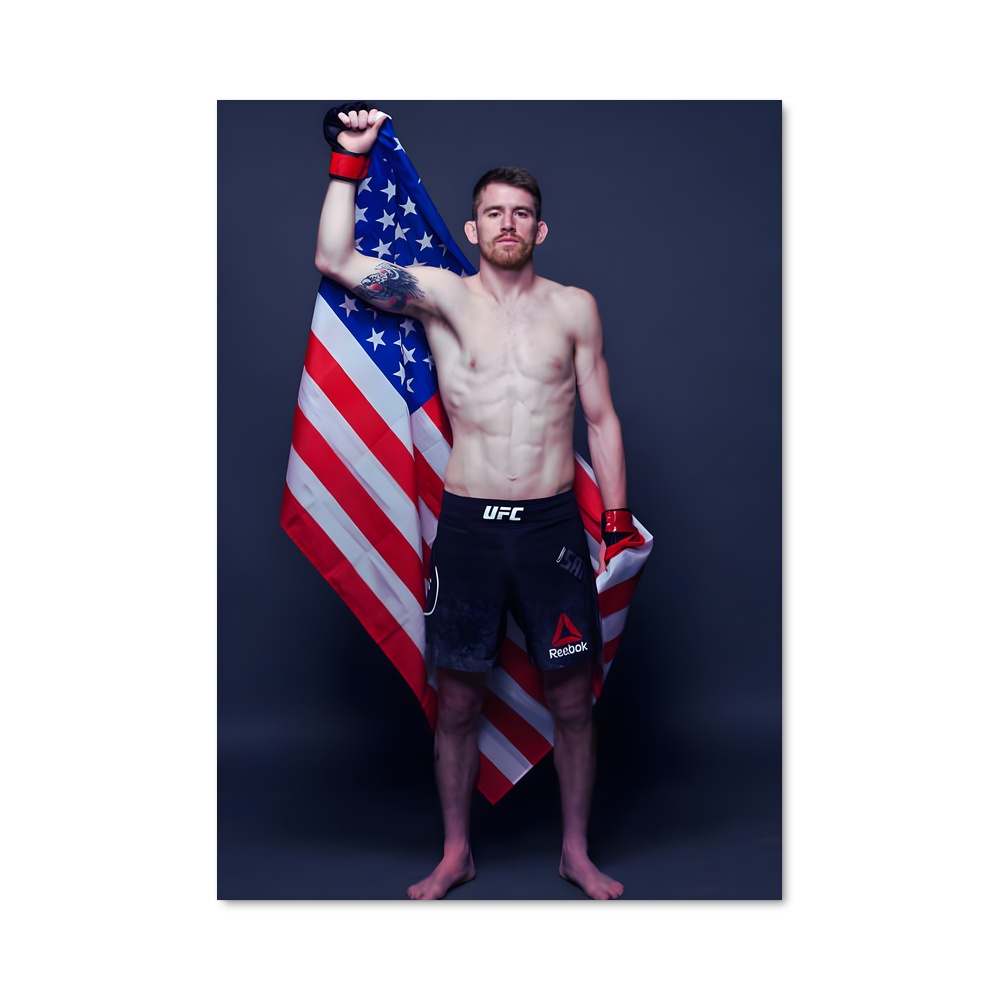 Poster Gants et Fierté – affiche MMA